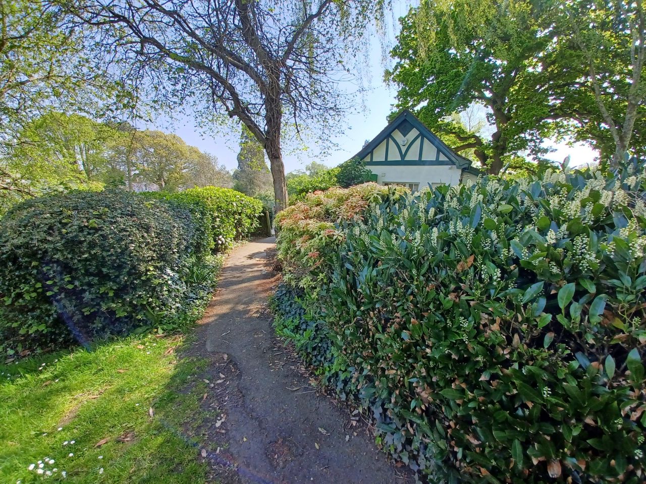 a photo of a scenic outdoor path